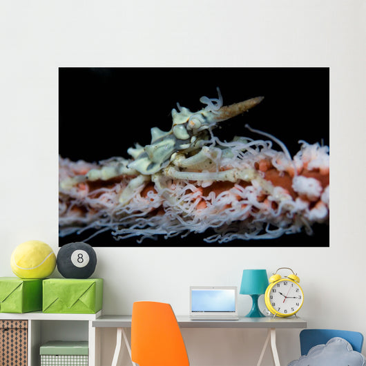Wire Coral and Xeno Wall Decal