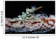 Wire Coral and Xeno Wall Decal