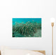 School Striped Catfish Lembeh Wall Decal Design 1