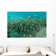 School Striped Catfish Lembeh Wall Decal Design 1