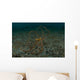 Wunderpus Sand North Sulawesi Wall Decal
