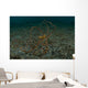 Wunderpus Sand North Sulawesi Wall Decal