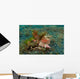 Spiny Devilfish Lembeh Strait Wall Decal