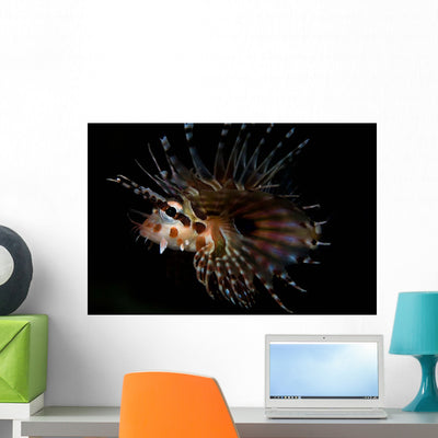 Zebra Lionfish Wall Decal shown on a wall