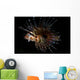 Zebra Lionfish Wall Decal