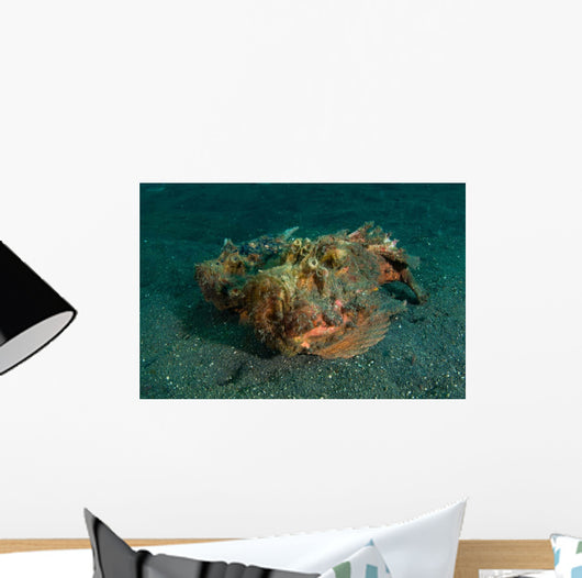 Estuarine Stonefish Lembeh Strait Wall Decal