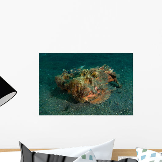 Estuarine Stonefish Lembeh Strait Wall Decal