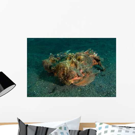 Estuarine Stonefish Lembeh Strait Wall Decal