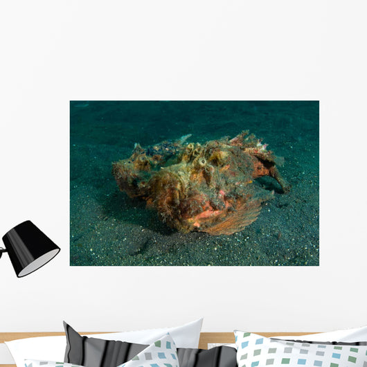 Estuarine Stonefish Lembeh Strait Wall Decal