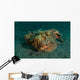 Estuarine Stonefish Lembeh Strait Wall Decal