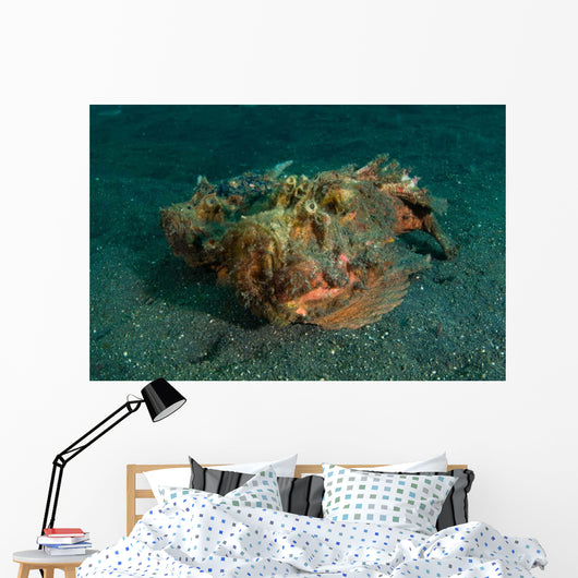 Estuarine Stonefish Lembeh Strait Wall Decal