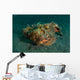 Estuarine Stonefish Lembeh Strait Wall Decal