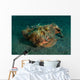 Estuarine Stonefish Lembeh Strait Wall Decal