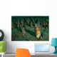 Bigeye Conger Blending with Wall Decal