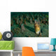 Bigeye Conger Blending with Wall Decal