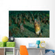 Bigeye Conger Blending with Wall Decal