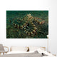 Mimic Octopus Lembeh Strait Wall Decal Design 1