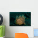 Hairy Striated Frogfish Lembeh Wall Decal Design 2