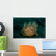 Hairy Striated Frogfish Lembeh Wall Decal Design 2