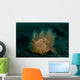Hairy Striated Frogfish Lembeh Wall Decal Design 2