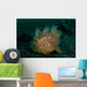 Hairy Striated Frogfish Lembeh Wall Decal Design 2