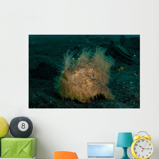 Hairy Striated Frogfish Lembeh Wall Decal Design 2