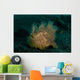 Hairy Striated Frogfish Lembeh Wall Decal Design 2