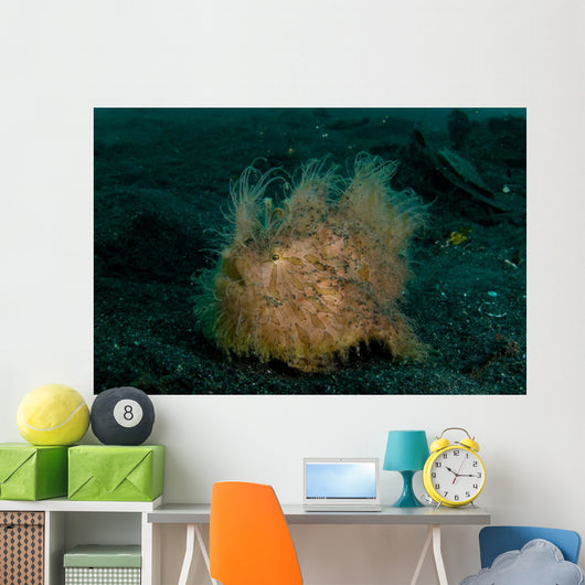 Hairy Striated Frogfish Lembeh Wall Decal Design 2