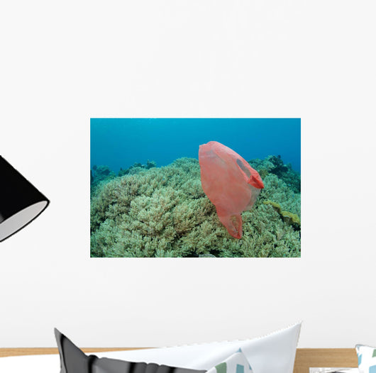 Plastic Bag Floats across Wall Decal