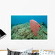 Plastic Bag Floats across Wall Decal