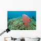 Plastic Bag Floats across Wall Decal