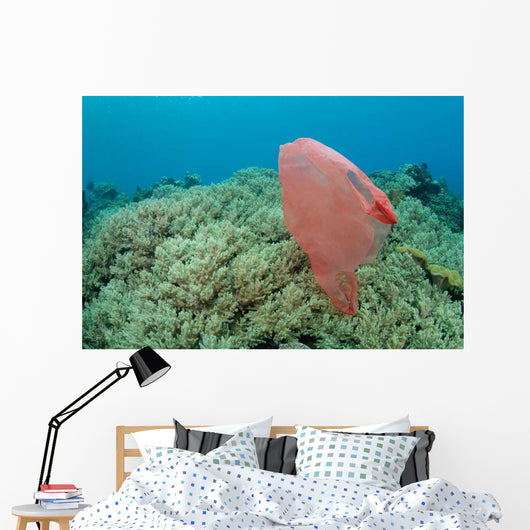 Plastic Bag Floats across Wall Decal