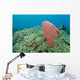 Plastic Bag Floats across Wall Decal