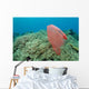 Plastic Bag Floats across Wall Decal