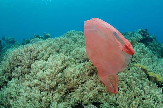 Plastic Bag Floats across Wall Decal