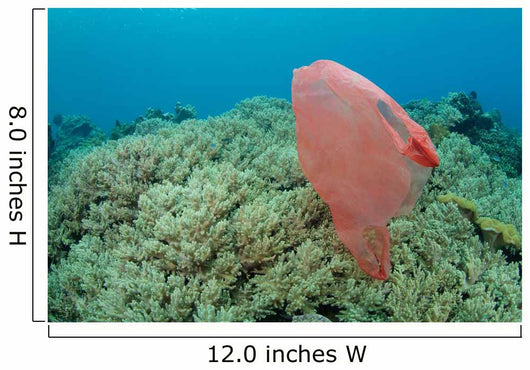 Plastic Bag Floats across Wall Decal