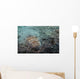 Stargazer Portrait Lembeh Strait Wall Decal