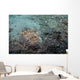 Stargazer Portrait Lembeh Strait Wall Decal