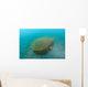 Bamboo Fish Trap Lembeh Wall Decal