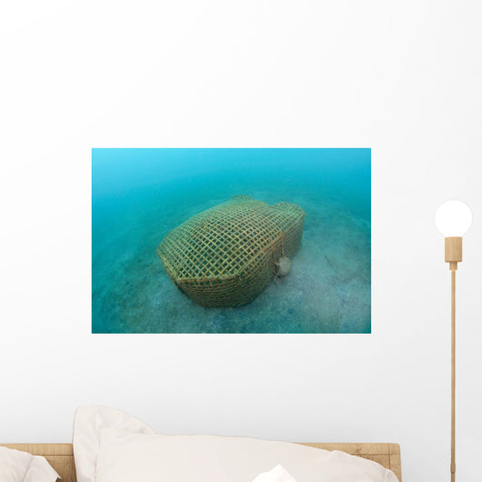 Bamboo Fish Trap Lembeh Wall Decal