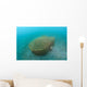 Bamboo Fish Trap Lembeh Wall Decal