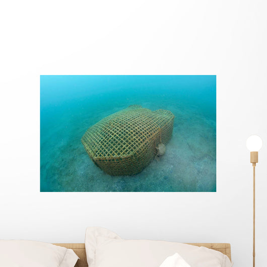 Bamboo Fish Trap Lembeh Wall Decal