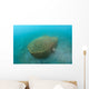 Bamboo Fish Trap Lembeh Wall Decal