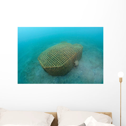 Bamboo Fish Trap Lembeh Wall Decal