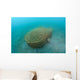 Bamboo Fish Trap Lembeh Wall Decal