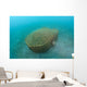 Bamboo Fish Trap Lembeh Wall Decal