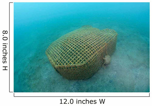Bamboo Fish Trap Lembeh Wall Decal