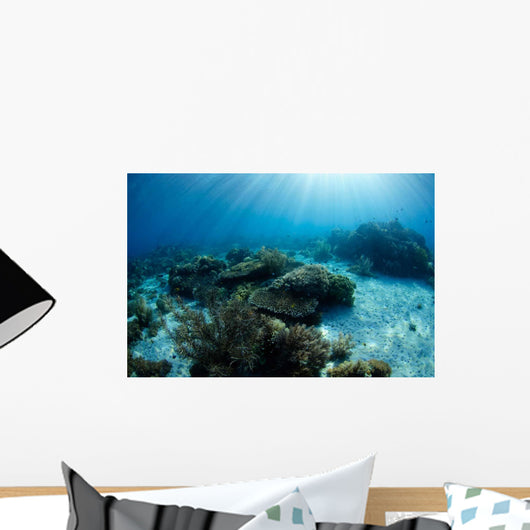 Hard Coral Garden with Wall Decal Design 2