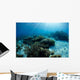 Hard Coral Garden with Wall Decal Design 2