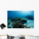 Hard Coral Garden with Wall Decal Design 2